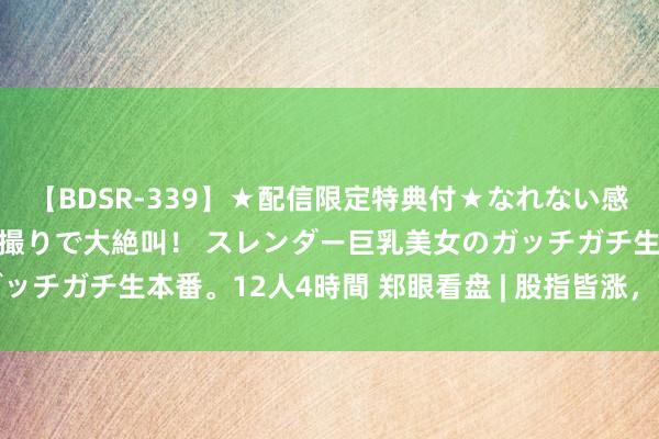 【BDSR-339】★配信限定特典付★なれない感じの新人ちゃんが初ハメ撮りで大絶叫！ スレンダー巨乳美女のガッチガチ生本番。12人4時間 郑眼看盘 | 股指皆涨，商场情谊转暖