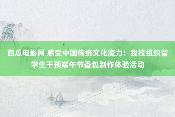 西瓜电影网 感受中国传统文化魔力：我校组织留学生干预端午节香包制作体验活动