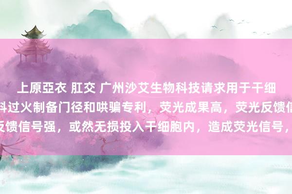 上原亞衣 肛交 广州沙艾生物科技请求用于干细胞示踪的荧光示踪剂材料过火制备门径和哄骗专利，荧光成果高，荧光反馈信号强，或然无损投入干细胞内，造成荧光信号，完毕干细胞示踪|纳米