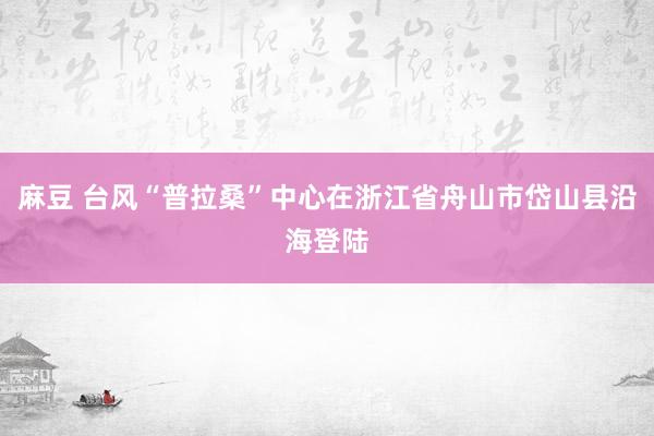 麻豆 台风“普拉桑”中心在浙江省舟山市岱山县沿海登陆