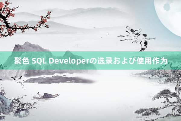 聚色 SQL Developerの选录および使用作为